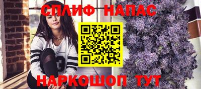 гидра Комсомольск-на-Амуре